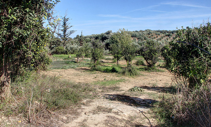 HIGH BUILDING RATIO WITH SEA VIEWS
