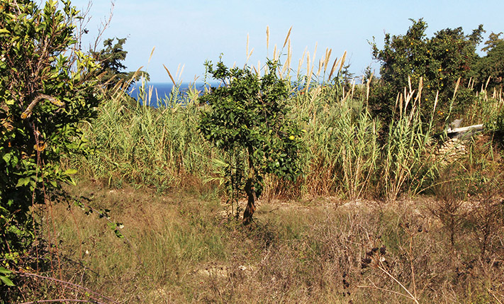 HIGH BUILDING RATIO WITH SEA VIEWS