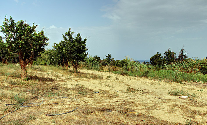 ON A LARGE PLOT, SUITABLE FOR DEVELOPMENT