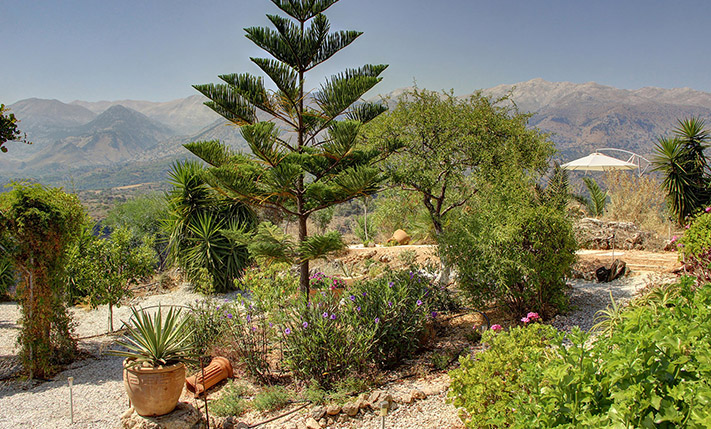 LUXURY PROPERTY ON A HILLTOP