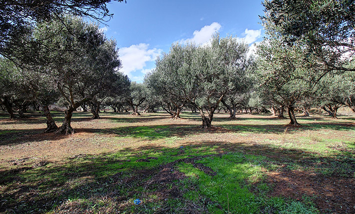 UNFINISHED VILLA NEAR THE BEACH
