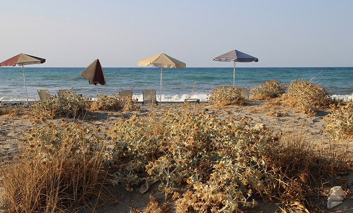 FIRST CLASS VIEWS BY THE BEACH