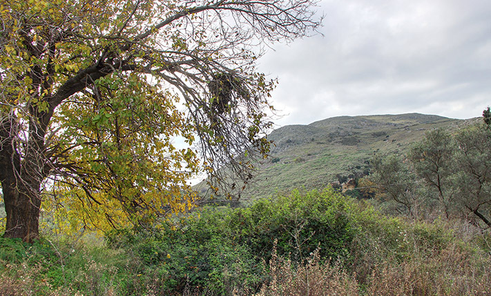 UNCONVERTED SEMI-DETACHED ON A SPACIOUS PLOT