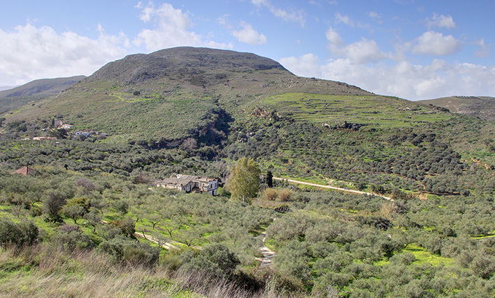 UNCONVERTED SEMI-DETACHED ON A SPACIOUS PLOT