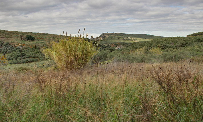 UNCONVERTED SEMI-DETACHED ON A SPACIOUS PLOT