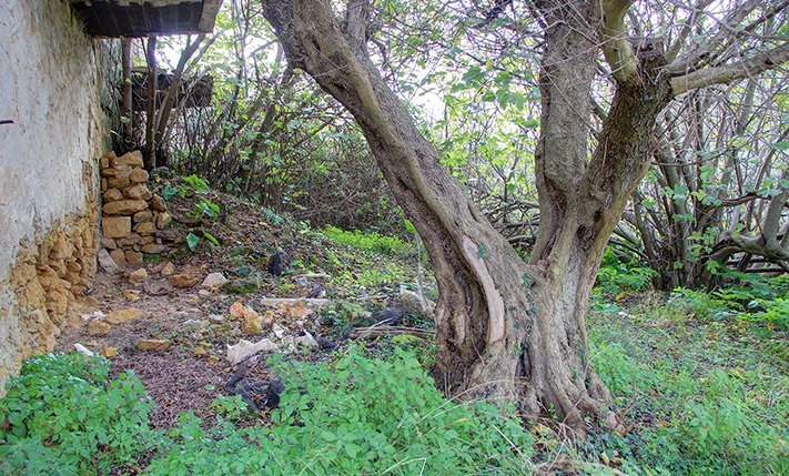 UNCONVERTED SEMI-DETACHED ON A SPACIOUS PLOT