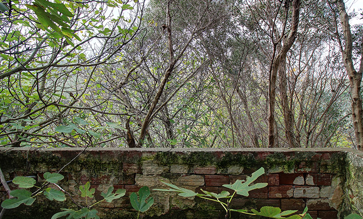 UNCONVERTED SEMI-DETACHED ON A SPACIOUS PLOT