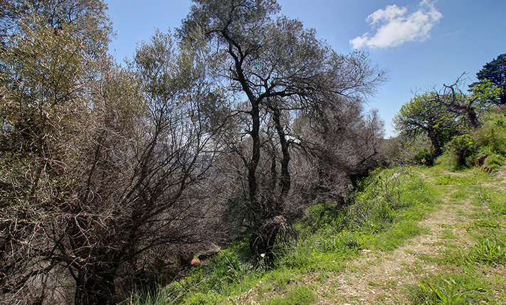 UNCONVERTED STONE HOUSE IN FAMILY NEIGHBORHOOD