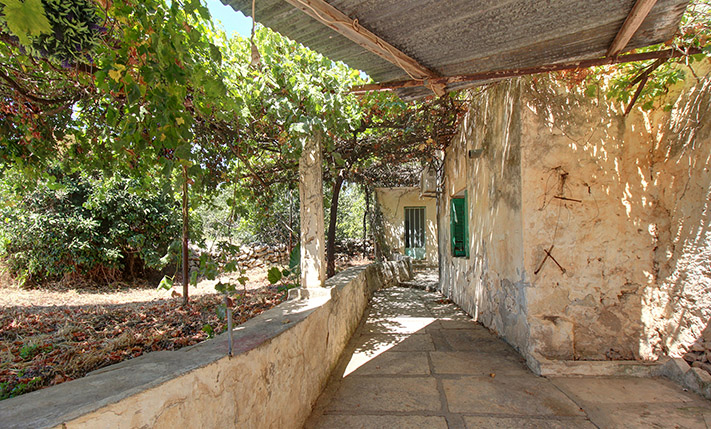 WITH GARDEN POTENTIAL & A SECLUDED COURTYARD