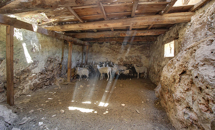 COMPLEX OF HOUSES FOR RESTORATION