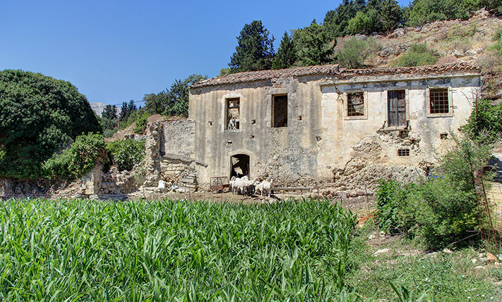 COMPLEX OF HOUSES FOR RESTORATION