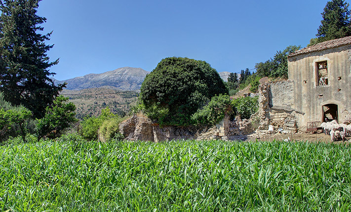 COMPLEX OF HOUSES FOR RESTORATION