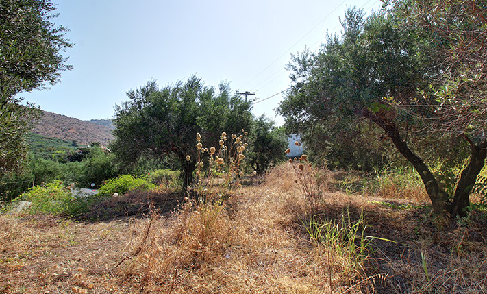 BUILDABLE LAND WITH AN UNCONVERTED BUILDING