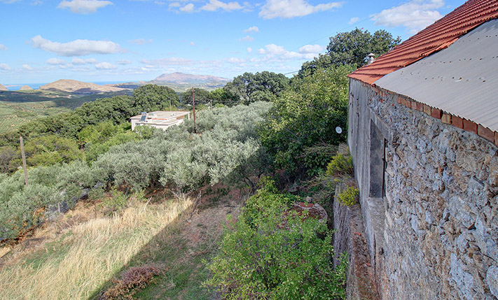 HISTORICAL OIL PRESS, PERFECT FOR LODGING