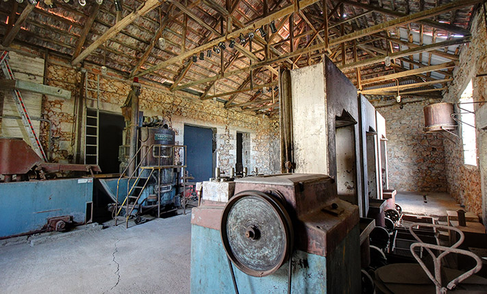 HISTORICAL OIL PRESS, PERFECT FOR LODGING