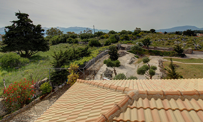 ΜΕ ΔΥΝΑΤΟΤΗΤΕΣ & ΘΕΑ ΣΕ ΔΑΣΟΣ & ΘΑΛΑΣΣΑ