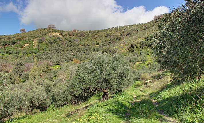 ΕΚΤΑΣΗ ΜΕ ΠΑΛΑΙΟ ΠΕΤΡΟΚΤΙΣΤΟ ΙΣΟΓΕΙΟ ΣΠΙΤΙ