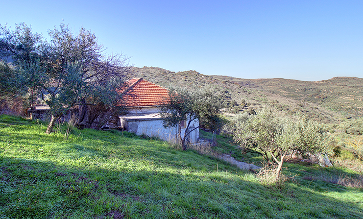 ΕΚΤΑΣΗ ΜΕ ΠΑΛΑΙΟ ΠΕΤΡΟΚΤΙΣΤΟ ΙΣΟΓΕΙΟ ΣΠΙΤΙ