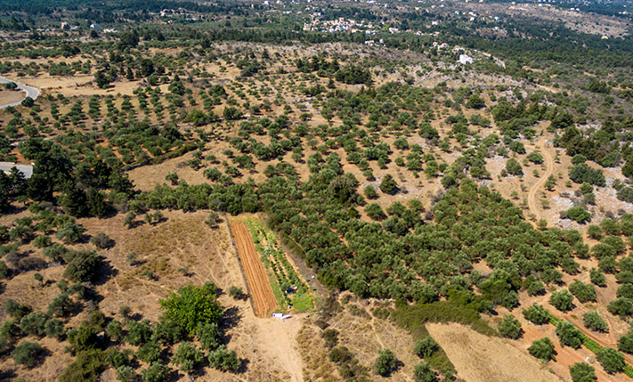 ONE-LEVEL VILLA FOR SALE OFF-PLAN