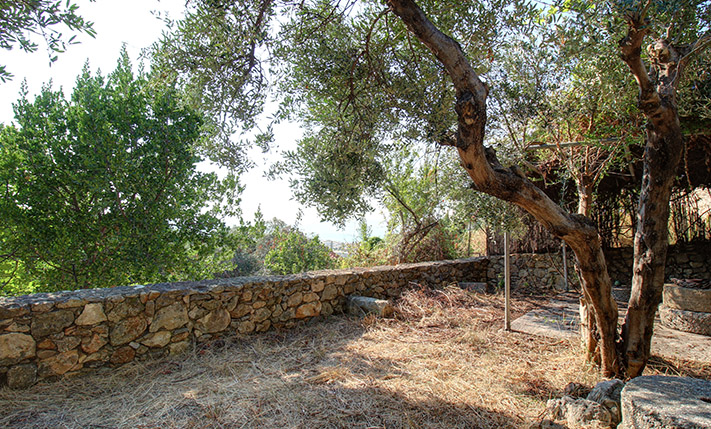 RESTORED OLIVE FACTORY WITH A HIGH POTENTIAL