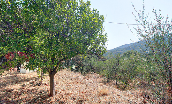 UNDENIABLE POTENTIAL ON SPACIOUS PLOT WITH VIEWS