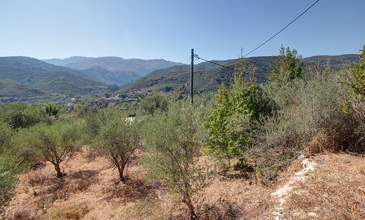 UNDENIABLE POTENTIAL ON SPACIOUS PLOT WITH VIEWS