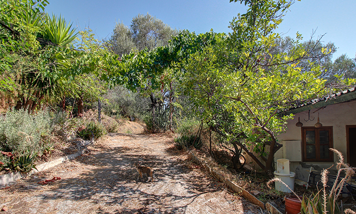 UNDENIABLE POTENTIAL ON SPACIOUS PLOT WITH VIEWS