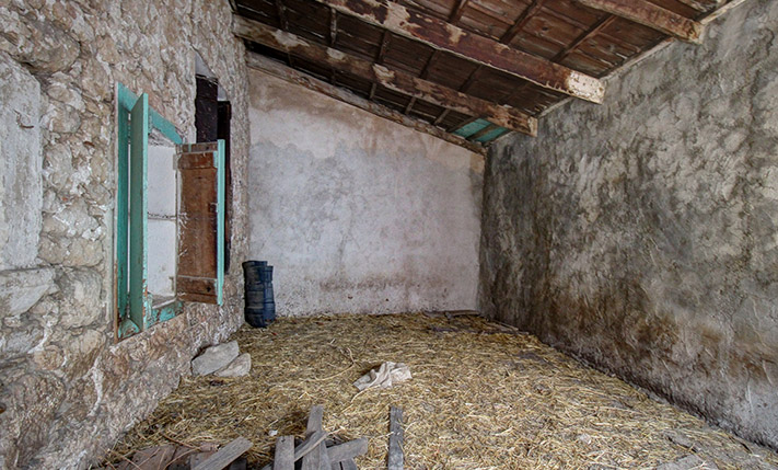 WITH IMPRESSIVE ATTRIBUTES IN A VENETIAN ALLEY