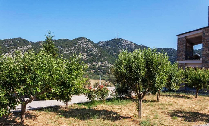 QUALITY BUILDING ON A PLATEAU IN THE MOUNTAINS