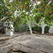 PHS1737 - image 3