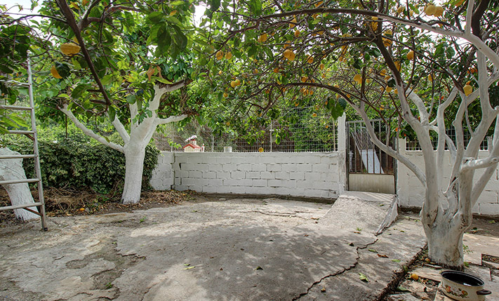 UNCONVERTED THAT YOU MAY EXPAND TO A COMPLEX