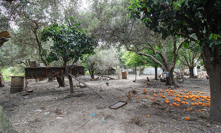 UNCONVERTED THAT YOU MAY EXPAND TO A COMPLEX