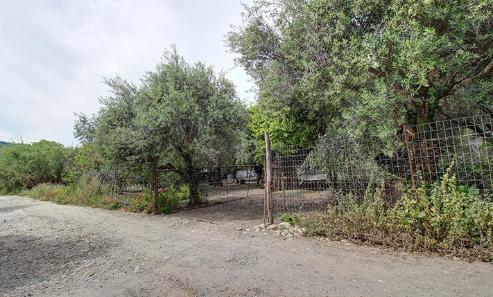 UNCONVERTED THAT YOU MAY EXPAND TO A COMPLEX