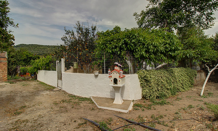 UNCONVERTED THAT YOU MAY EXPAND TO A COMPLEX