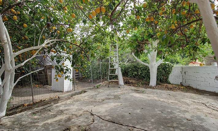 UNCONVERTED THAT YOU MAY EXPAND TO A COMPLEX