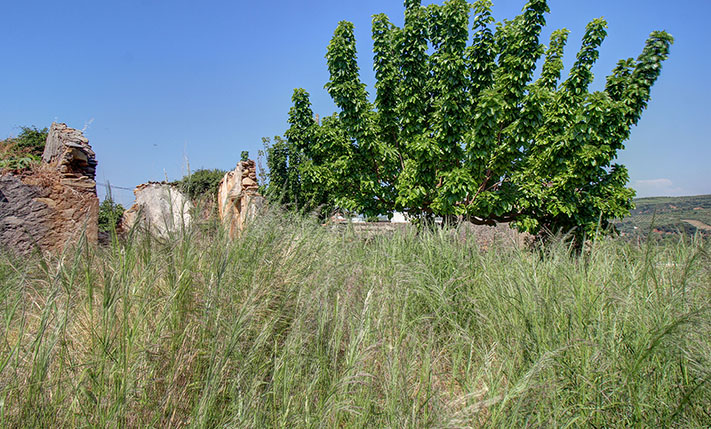 ABANDONED STONE HOUSE ON A PLOT WITH VIEWS