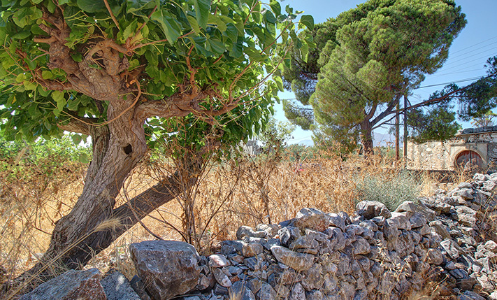 HOUSE ON A SPACIOUS CORNER PLOT WITH SEA VIEWS