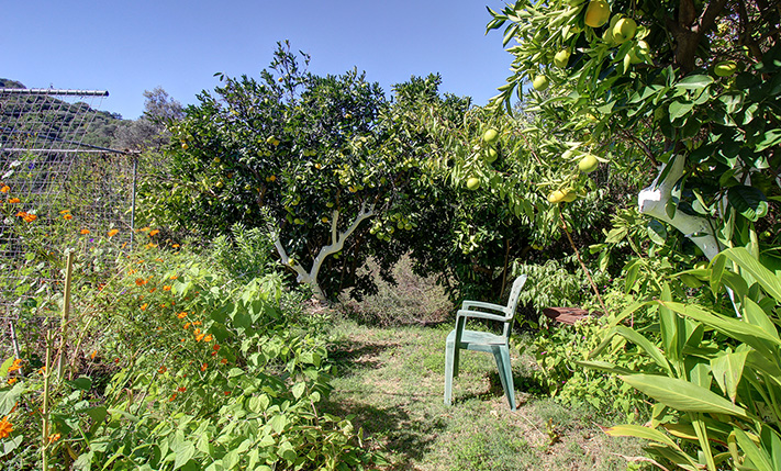 LARGE MIXED-USE BUILDING WITH A 2-BEDROOM HOUSE
