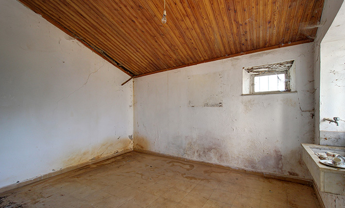 GROUND FLOOR VILLAGE HOUSE ON A SPACIOUS PLOT