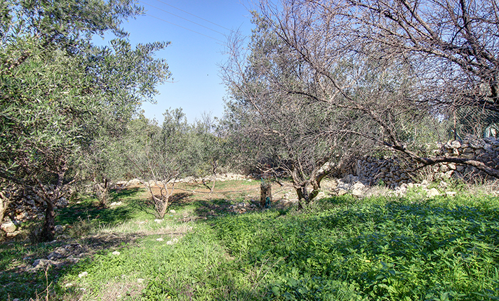 TOP FLOOR HOUSE WITH UNCONVERTED GROUND LEVEL