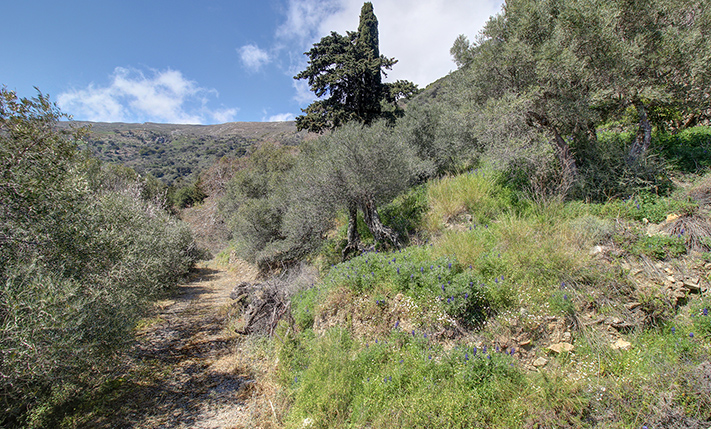 UNCONVERTED FARM-HOUSE WITH VIEWS & GARDEN
