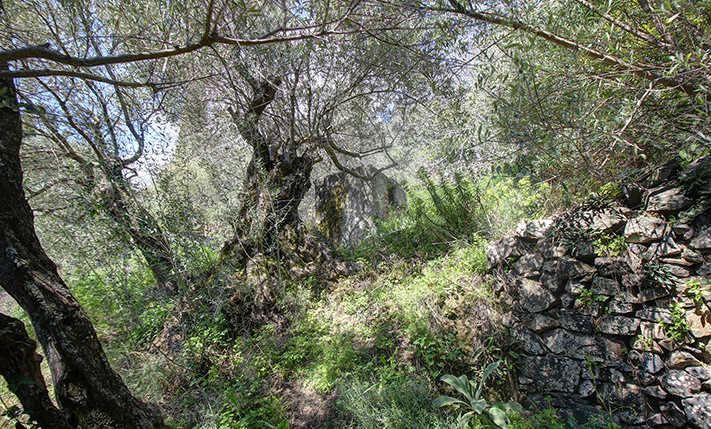 UNCONVERTED FARM-HOUSE WITH VIEWS & GARDEN