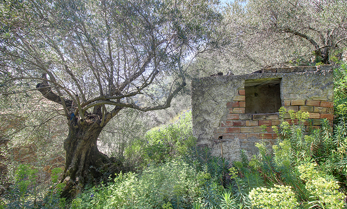UNCONVERTED FARM-HOUSE WITH VIEWS & GARDEN