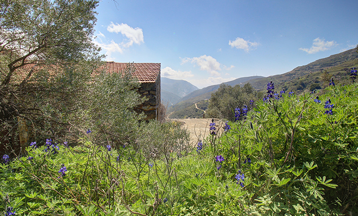 UNCONVERTED FARM-HOUSE WITH VIEWS & GARDEN