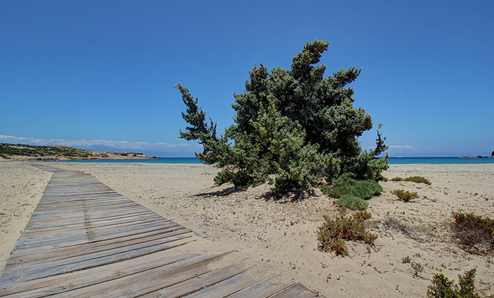 STEPS FROM THE BEACH WITH SPACIOUS EXTERIORS