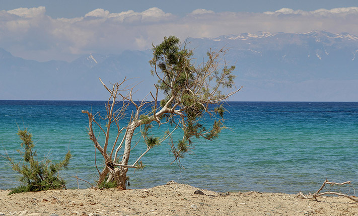 STEPS FROM THE BEACH WITH SPACIOUS EXTERIORS