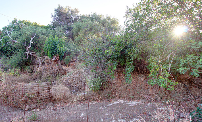2-FAMILY STONE BUILDING WITH SEA VIEWS