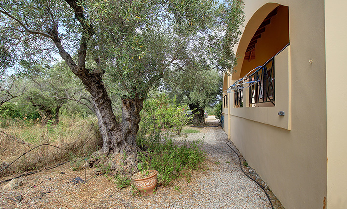 DETACHED, WITH A GUESTS' HOUSE & PRIVATE GARDEN