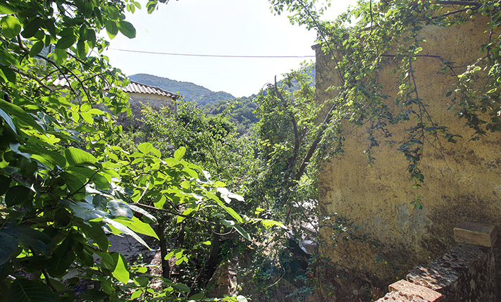 FARM HOUSE IN AN ABANDONED NEIGHBORHOOD