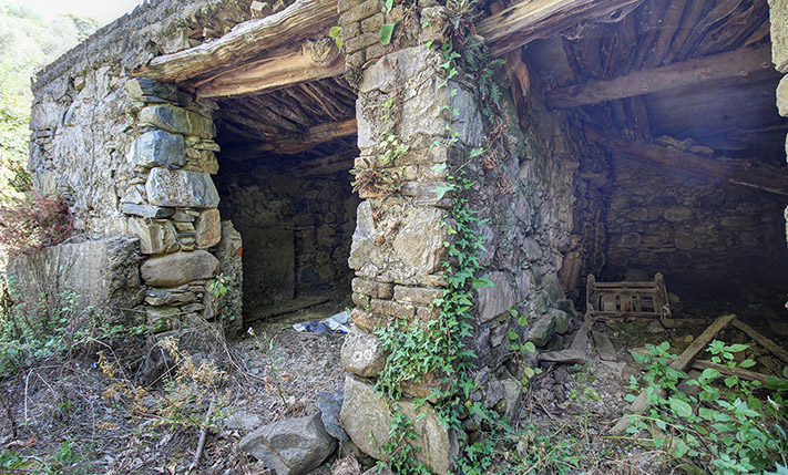 FARM HOUSE IN AN ABANDONED NEIGHBORHOOD